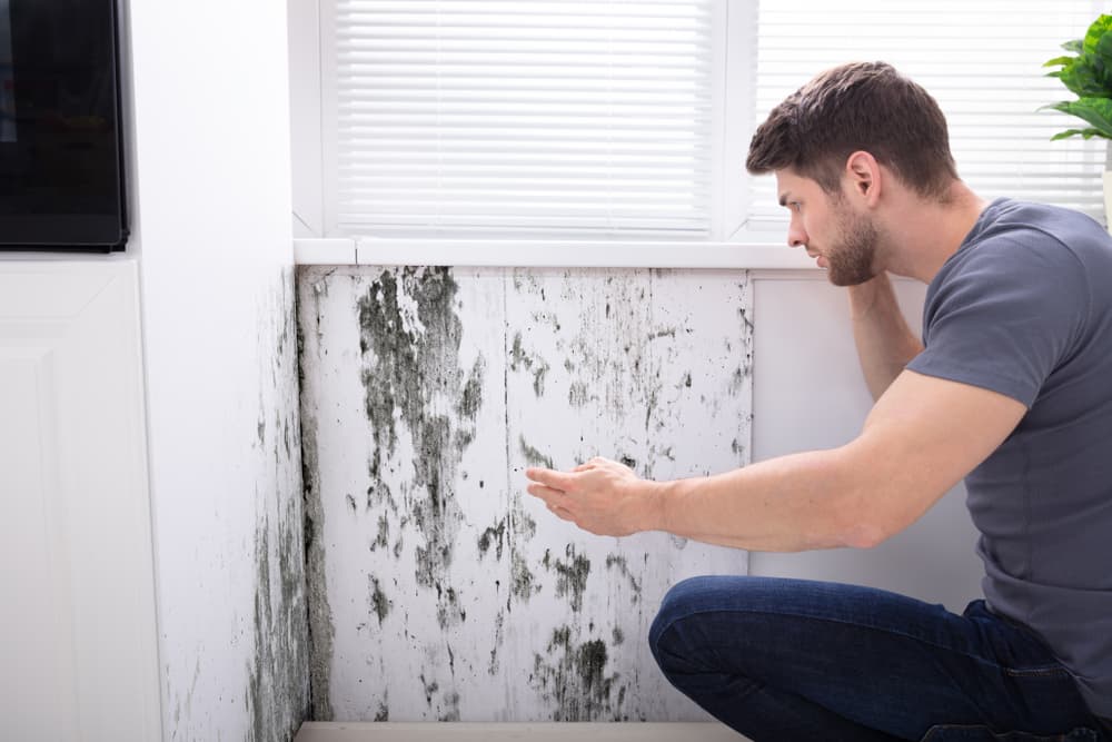 How to Finance Damp Proofing and Ventilation Improvements