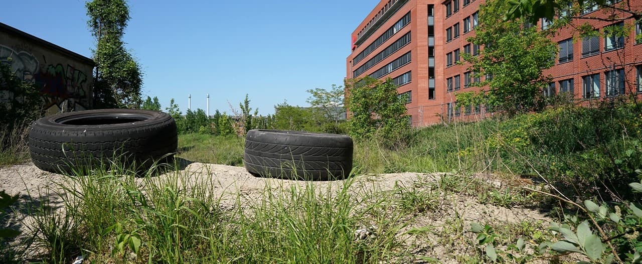 Brownfield Land Redevelopment: Opportunities and Challenges